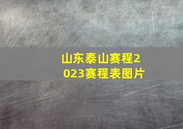 山东泰山赛程2023赛程表图片