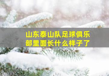 山东泰山队足球俱乐部里面长什么样子了