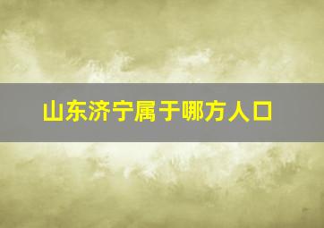 山东济宁属于哪方人口