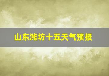 山东潍坊十五天气预报