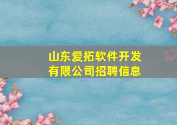 山东爱拓软件开发有限公司招聘信息