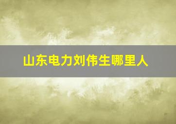 山东电力刘伟生哪里人