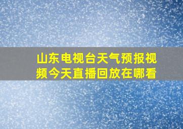 山东电视台天气预报视频今天直播回放在哪看