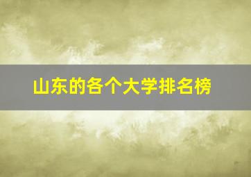 山东的各个大学排名榜