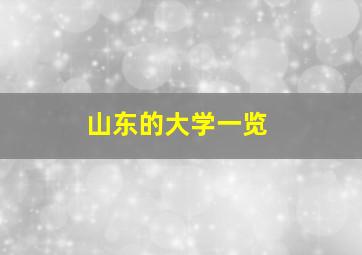 山东的大学一览