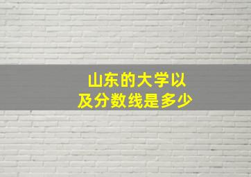 山东的大学以及分数线是多少