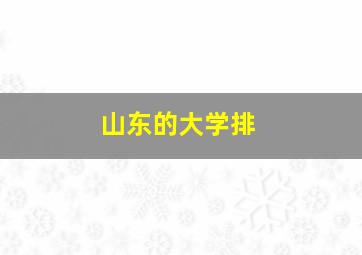 山东的大学排