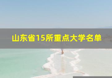 山东省15所重点大学名单