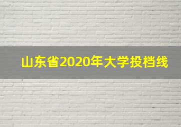 山东省2020年大学投档线