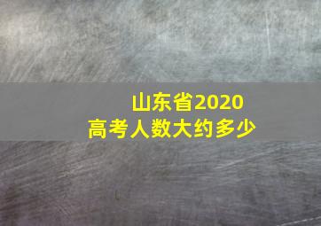 山东省2020高考人数大约多少