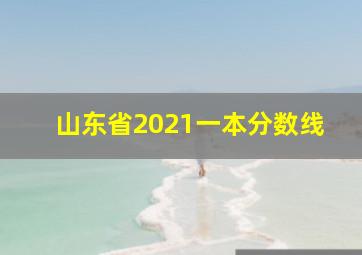 山东省2021一本分数线