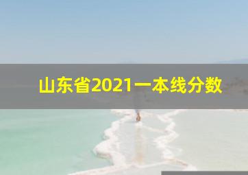 山东省2021一本线分数