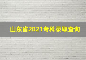 山东省2021专科录取查询