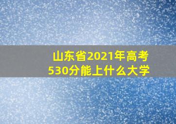 山东省2021年高考530分能上什么大学