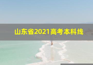 山东省2021高考本科线