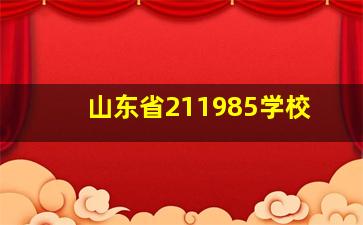 山东省211985学校