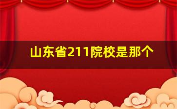 山东省211院校是那个