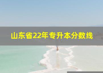 山东省22年专升本分数线