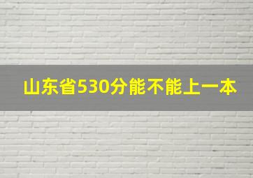 山东省530分能不能上一本