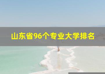 山东省96个专业大学排名