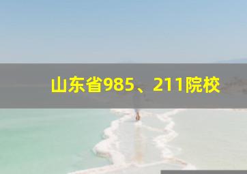 山东省985、211院校