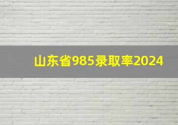 山东省985录取率2024