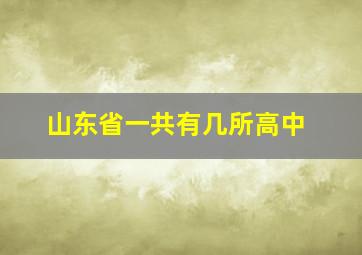 山东省一共有几所高中