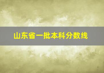 山东省一批本科分数线