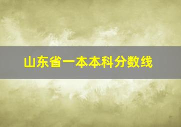 山东省一本本科分数线