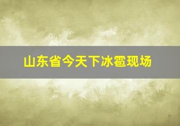 山东省今天下冰雹现场