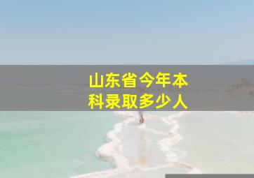 山东省今年本科录取多少人