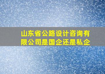 山东省公路设计咨询有限公司是国企还是私企