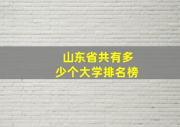 山东省共有多少个大学排名榜