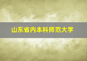 山东省内本科师范大学