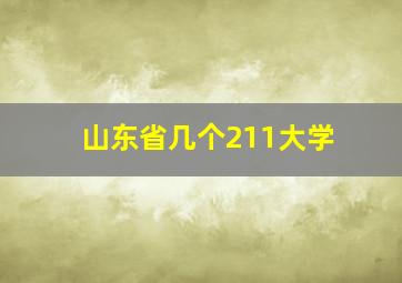 山东省几个211大学