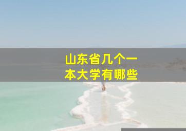 山东省几个一本大学有哪些