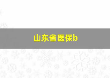 山东省医保b