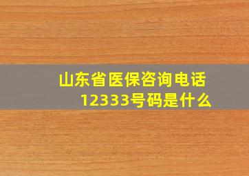 山东省医保咨询电话12333号码是什么