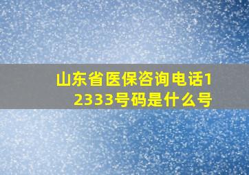 山东省医保咨询电话12333号码是什么号