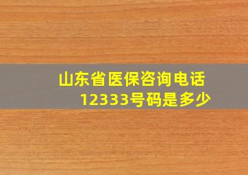 山东省医保咨询电话12333号码是多少