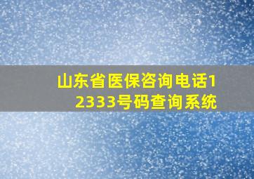 山东省医保咨询电话12333号码查询系统