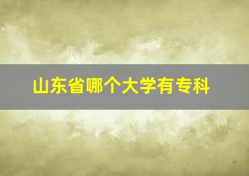 山东省哪个大学有专科