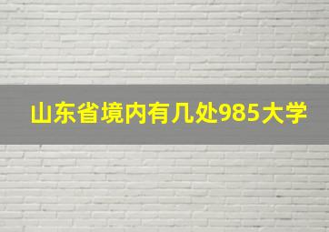 山东省境内有几处985大学