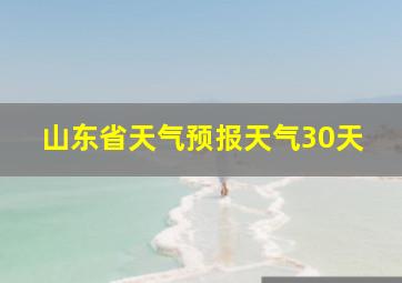 山东省天气预报天气30天