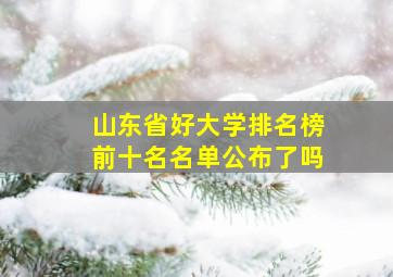 山东省好大学排名榜前十名名单公布了吗