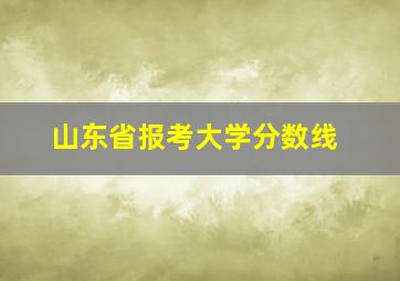 山东省报考大学分数线