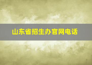 山东省招生办官网电话