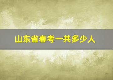 山东省春考一共多少人