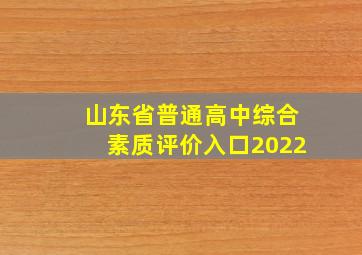 山东省普通高中综合素质评价入口2022