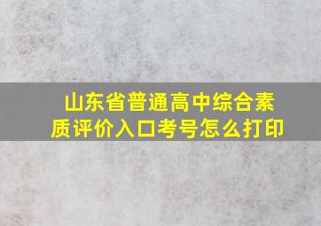 山东省普通高中综合素质评价入口考号怎么打印